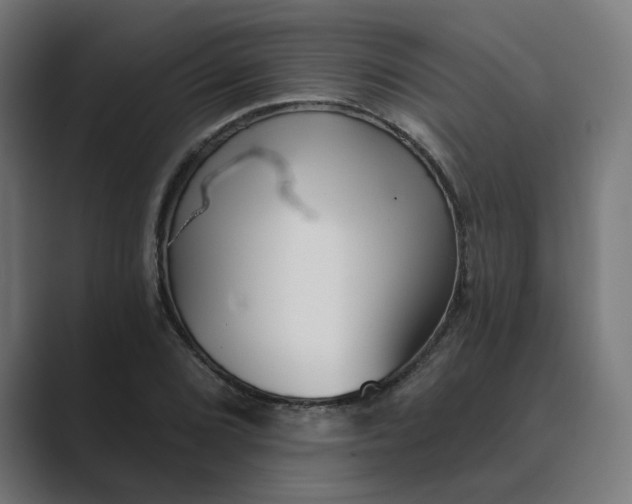 X0000089441072200706291421