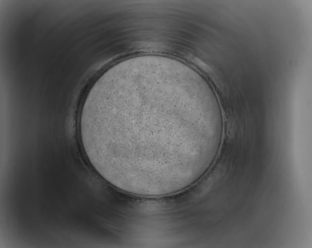 X0000089441074200706291421