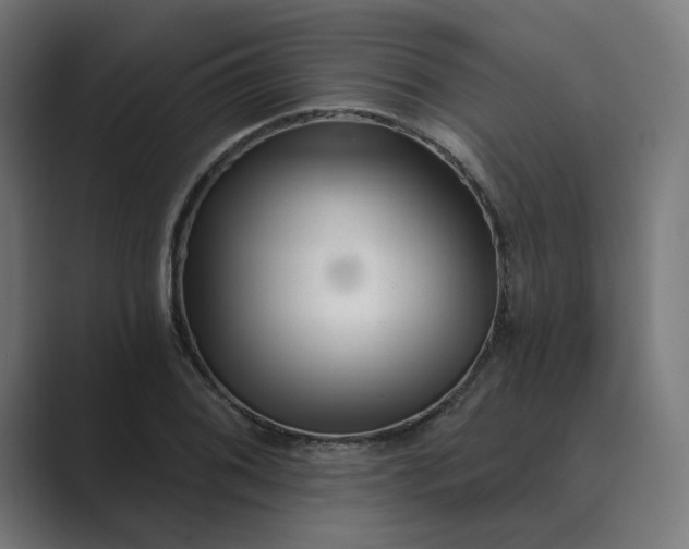 X0000089441076200706291421