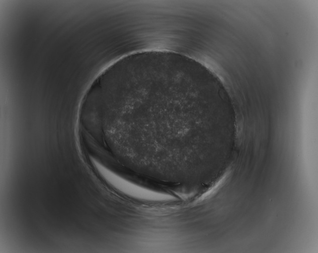 X0000089441077200706291421