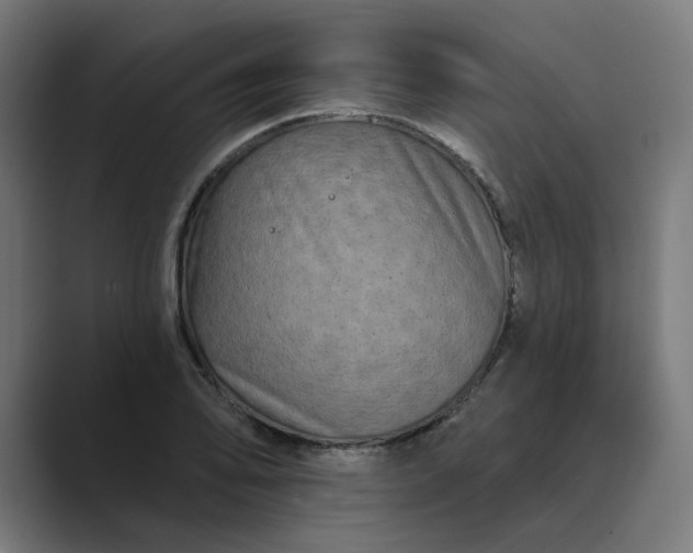 X0000089441078200706291421