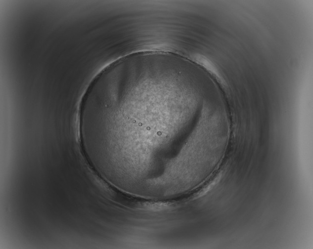 X0000089441079200706291421