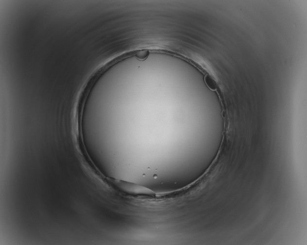 X0000089441080200706291421