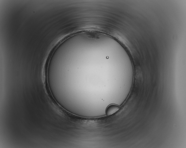 X0000089441082200706291421