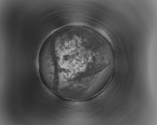 X0000089441084200706291421