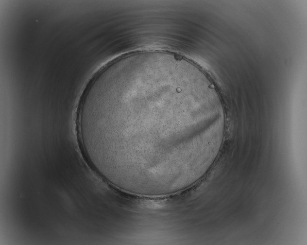 X0000089441086200706291421