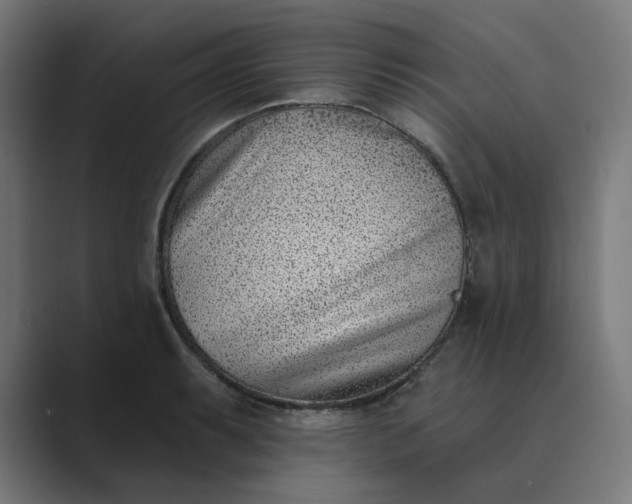 X0000089441087200706291421