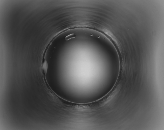 X0000089441089200706291421