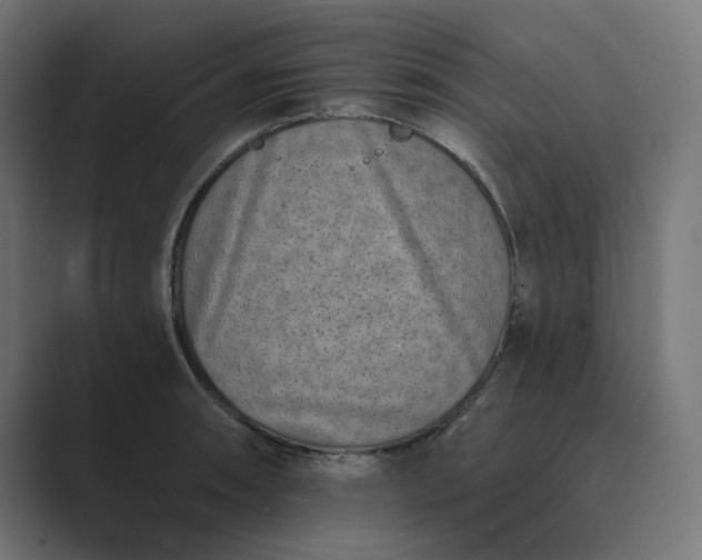 X0000089441090200706291421