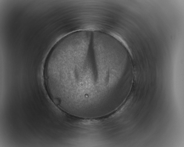 X0000089441091200706291421