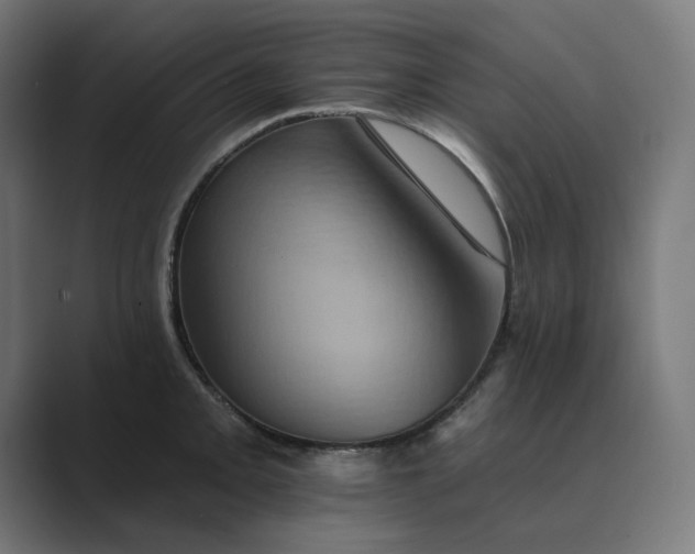 X0000089441093200706291421