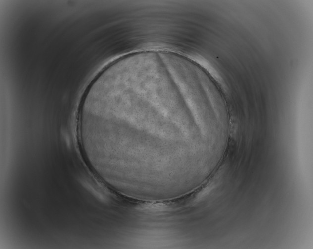 X0000089441094200706291421