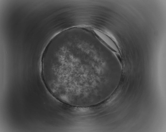 X0000089441095200706291421