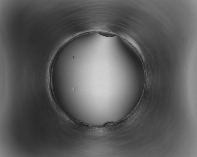 X0000089441096200706291420