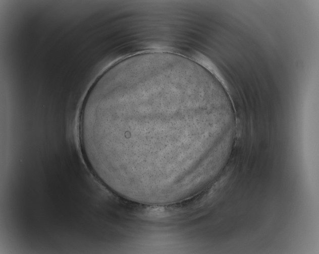 X0000089441098200706291420