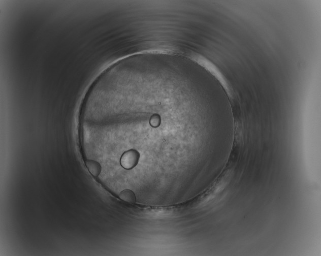 X0000089441099200706291420