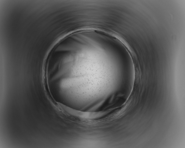 X0000089441101200706291420