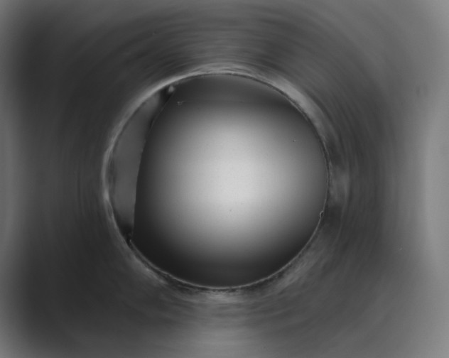 X0000089441102200706291420