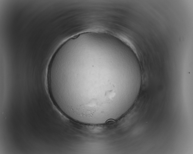 X0000089441103200706291420