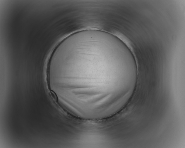 X0000089441104200706291420