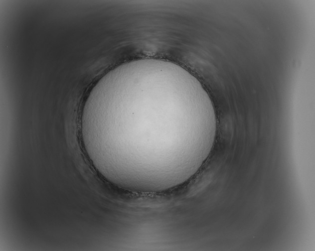 X0000089441105200706291420