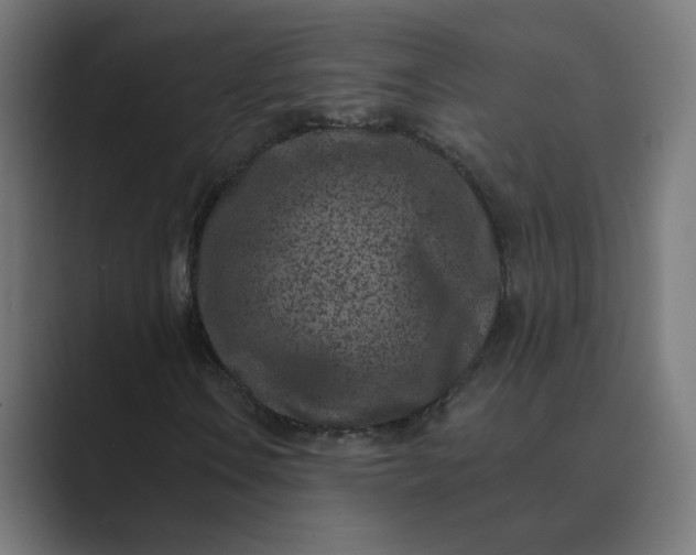 X0000089441106200706291420