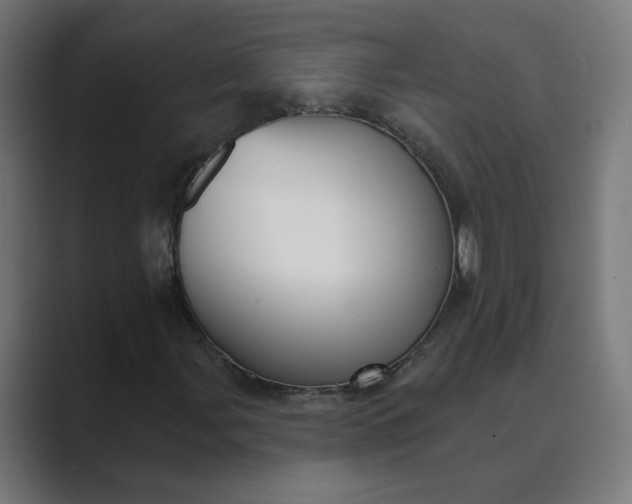 X0000089441107200706291420