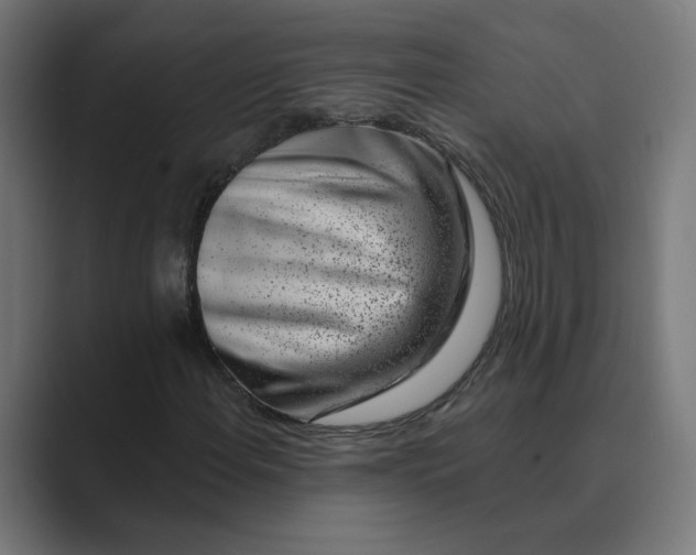 X0000089441108200706291420