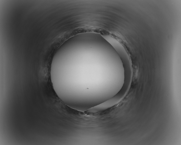 X0000089441110200706291420