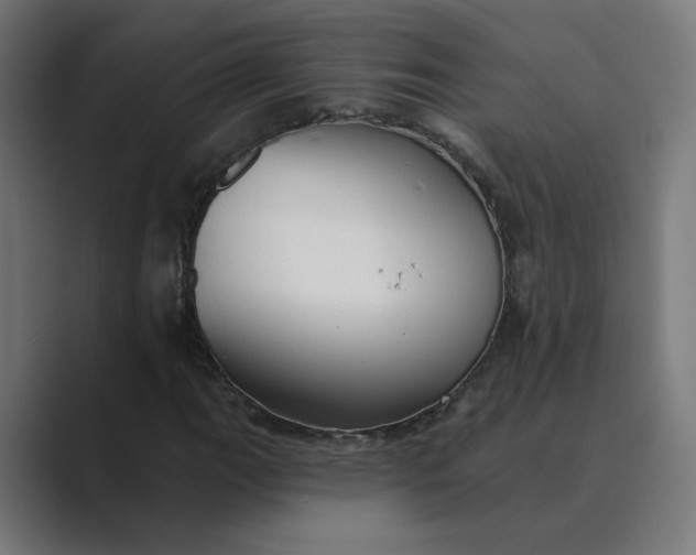 X0000089441111200706291420