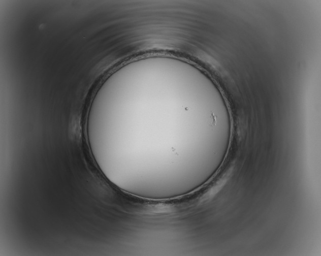 X0000089441113200706291420