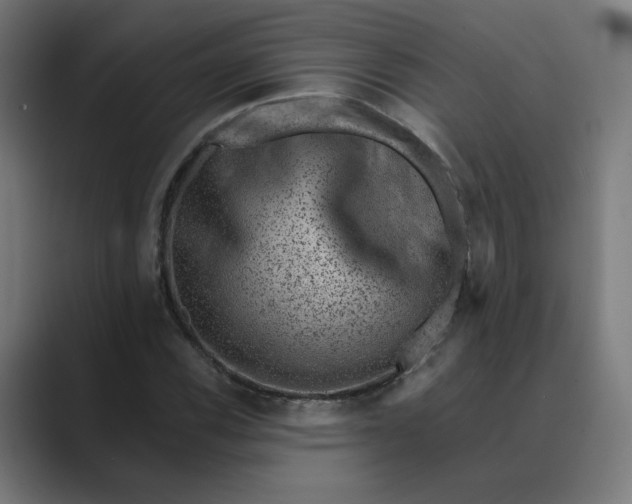 X0000089441116200706291420