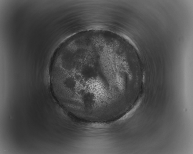 X0000089441117200706291420