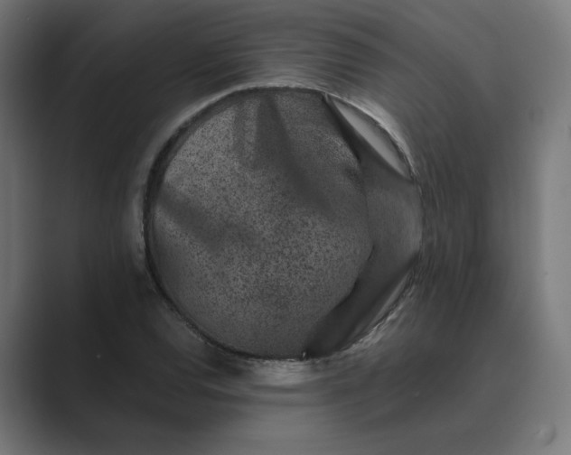 X0000089441120200706291420