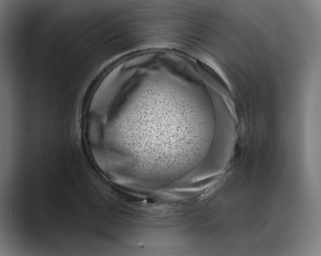 X0000089441124200706291420