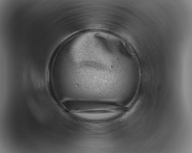 X0000089441125200706291420