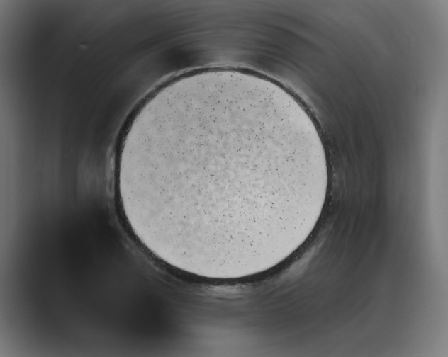 X0000089441126200706291420