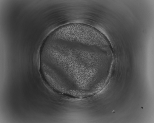 X0000089441127200706291420