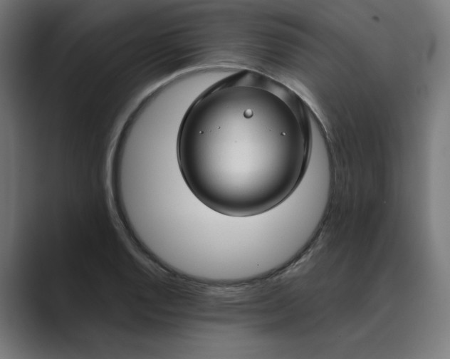 X0000089441128200706291420