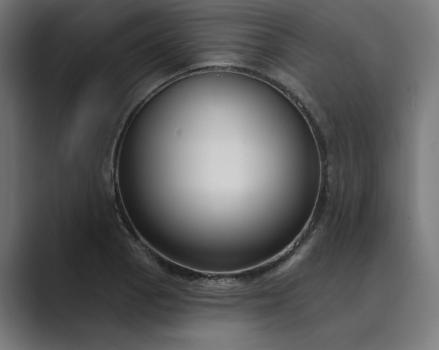 X0000089441129200706291420