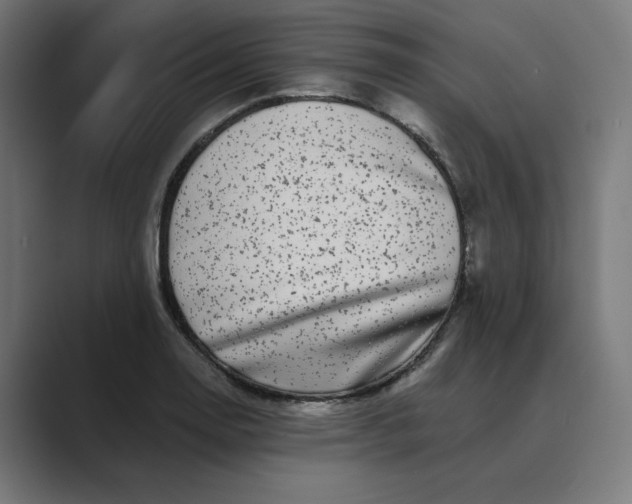 X0000089441130200706291420