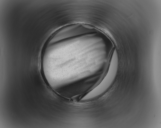 X0000089441132200706291420