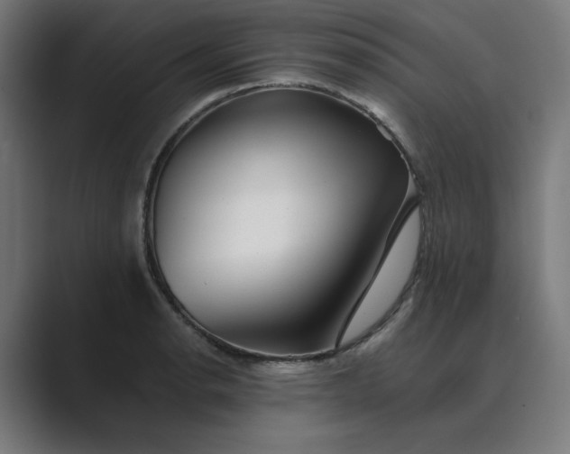 X0000089441134200706291420