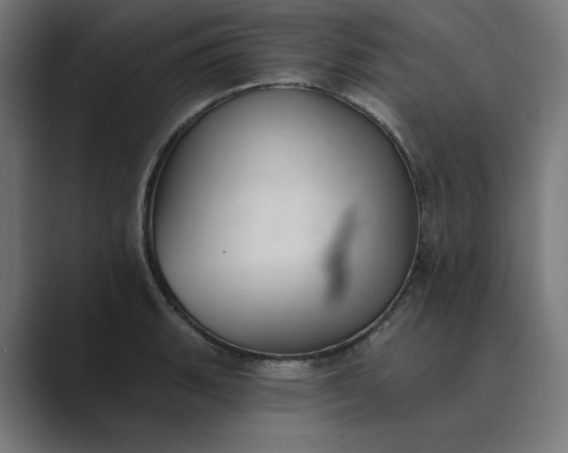 X0000089441135200706291420