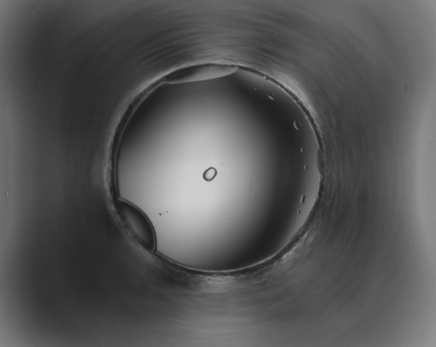 X0000089441136200706291420