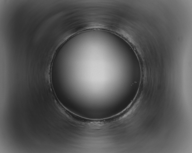 X0000089441137200706291420