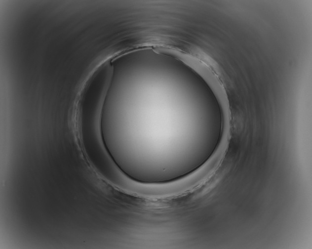 X0000089441138200706291420