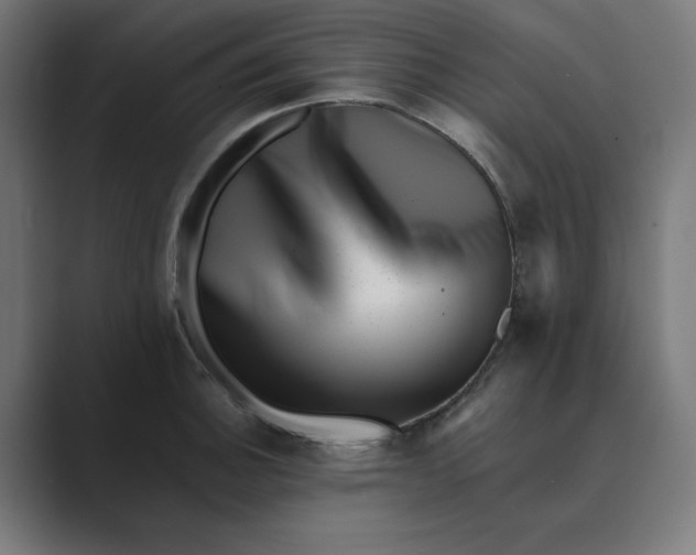 X0000089441140200706291420