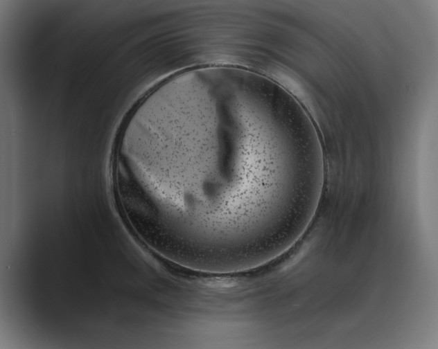 X0000089441141200706291420