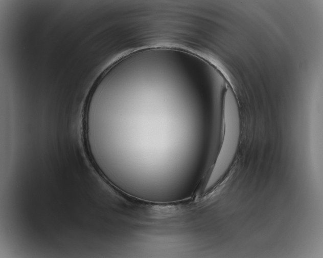 X0000089441142200706291420